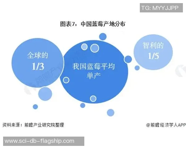 足球白牌的崛起与挑战解析如何影响中国足球的未来发展与市场潜力